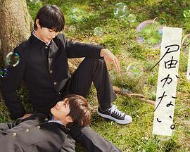 泛页面关键词0462